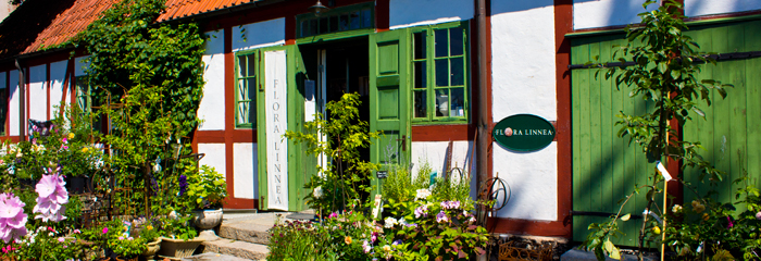 Om FLora Linnea